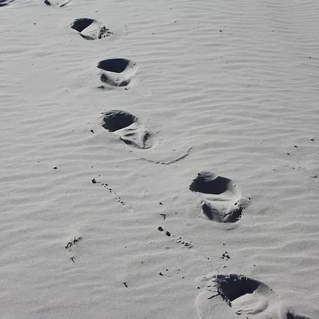 公寓 希登塞康科迪亚别墅公寓 *